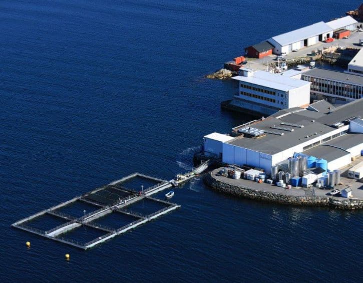 SF222 Slakteriet Packing Station