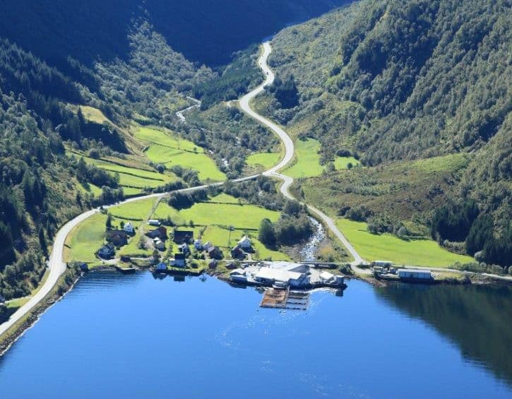 SF371 Slakteriet Brekke Packing Station